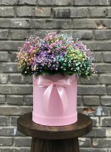 Цветочная композиция из Гипсофила и Розы в шляпной коробке в Поселок имени Карла Либкнехта