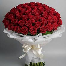Букет 101 Красная роза Блэк Мэджик в Поселок имени Карла Либкнехта