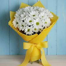 Букет цветов из:  Хризантемы в Поселок имени Карла Либкнехта