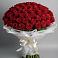 Букет 101 Красная роза Блэк Мэджик в Поселок имени Карла Либкнехта