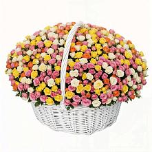 Премиум букет из: Розы в Поселок имени Карла Либкнехта