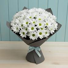 Букет цветов из:  Хризантемы в Поселок имени Карла Либкнехта