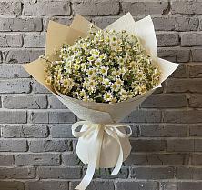 Букет цветов из:  Ромашки в Поселок имени Карла Либкнехта