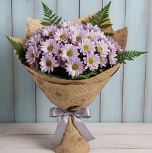 Букет цветов из:  Хризантемы в Поселок имени Карла Либкнехта
