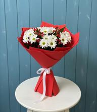 Букет цветов из:  Хризантемы в Поселок имени Карла Либкнехта