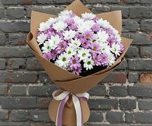 Букет цветов из:  Хризантемы в Поселок имени Карла Либкнехта