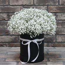 Цветочная композиция из Гипсофила в шляпной коробке в Поселок имени Карла Либкнехта