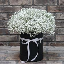 Цветочная композиция из Гипсофила в шляпной коробке в Поселок имени Карла Либкнехта