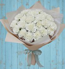 Букет цветов из:  Гвоздики в Поселок имени Карла Либкнехта